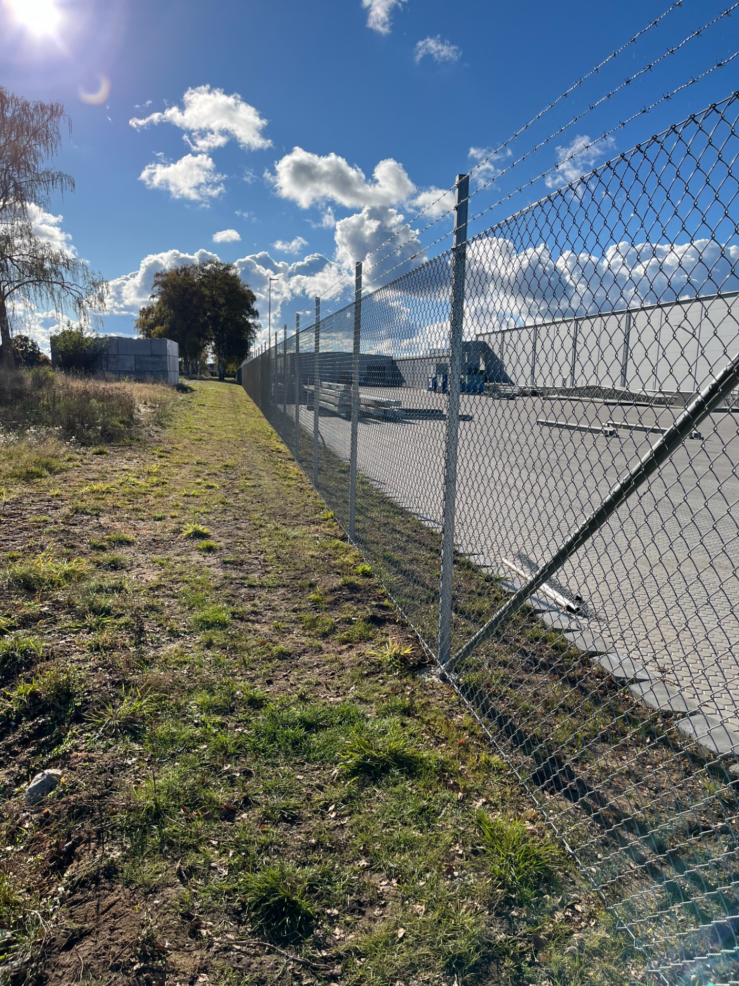 IMG 7251