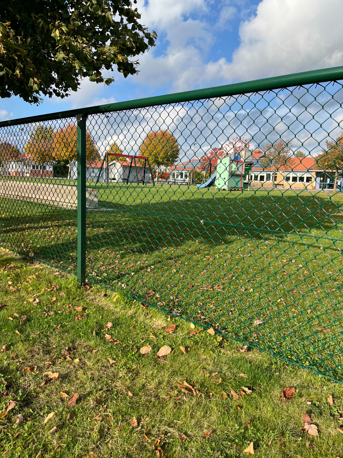 IMG 7278
